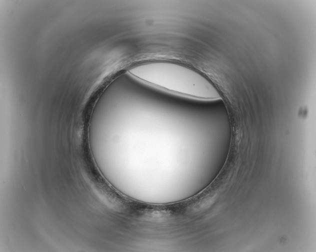 X0000094380304200711020831
