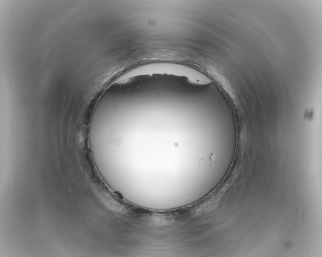 X0000094380305200711020831