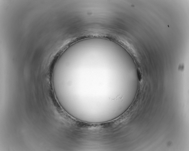 X0000094380306200711020831