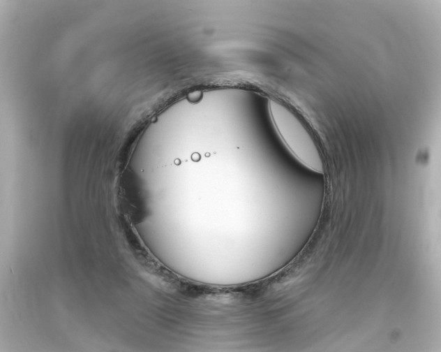 X0000094380307200711020831