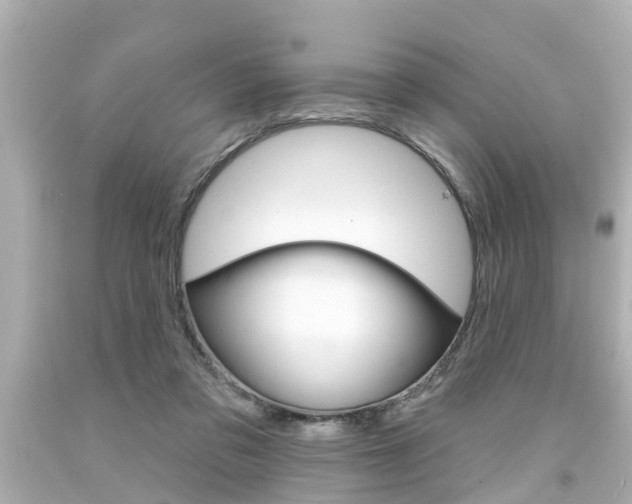 X0000094380309200711020831