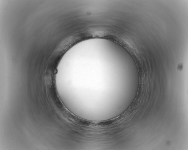X0000094380311200711020831