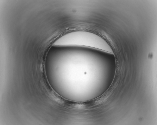 X0000094380313200711020831