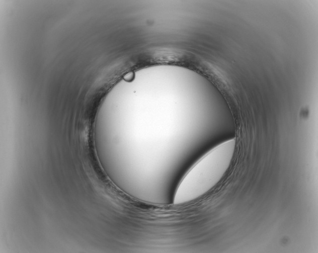 X0000094380315200711020831
