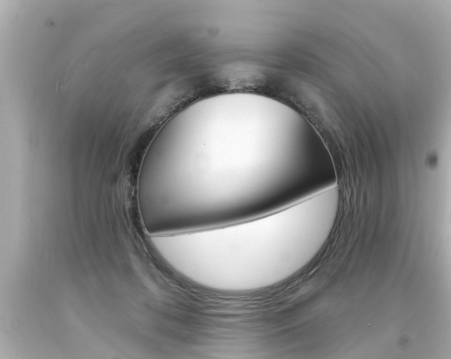 X0000094380316200711020831