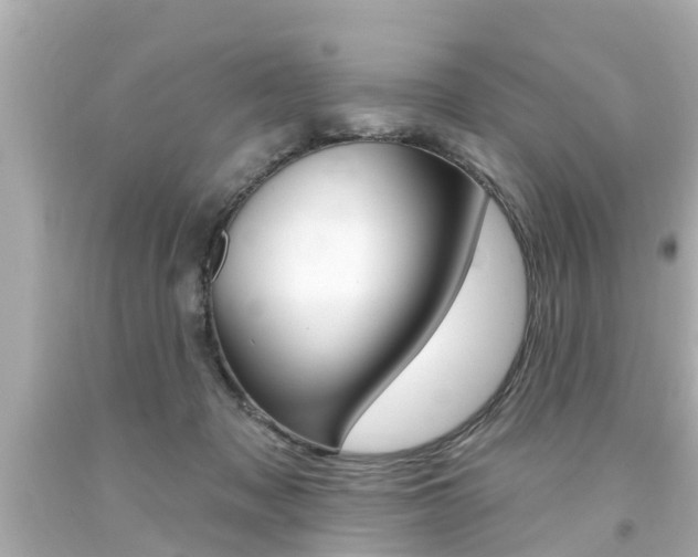 X0000094380317200711020831