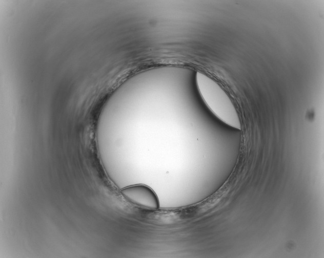 X0000094380322200711020831