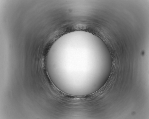 X0000094380323200711020831