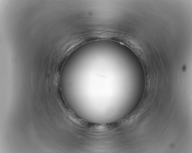 X0000094380325200711020831