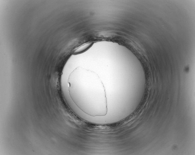 X0000094380328200711020831