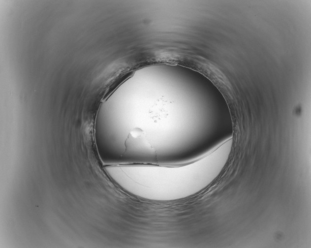 X0000094380329200711020831