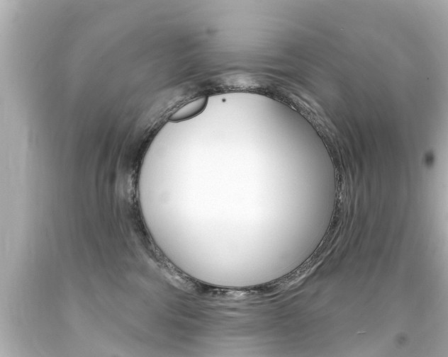 X0000094380330200711020831