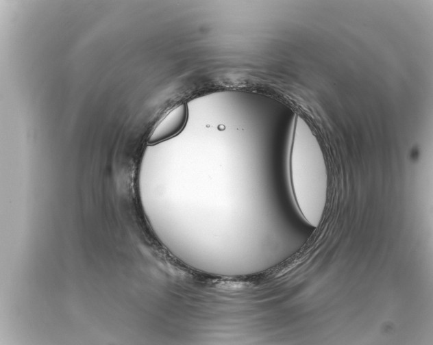 X0000094380332200711020831