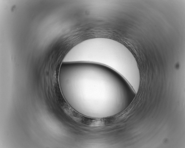 X0000094380335200711020831