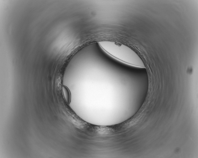X0000094380336200711020831