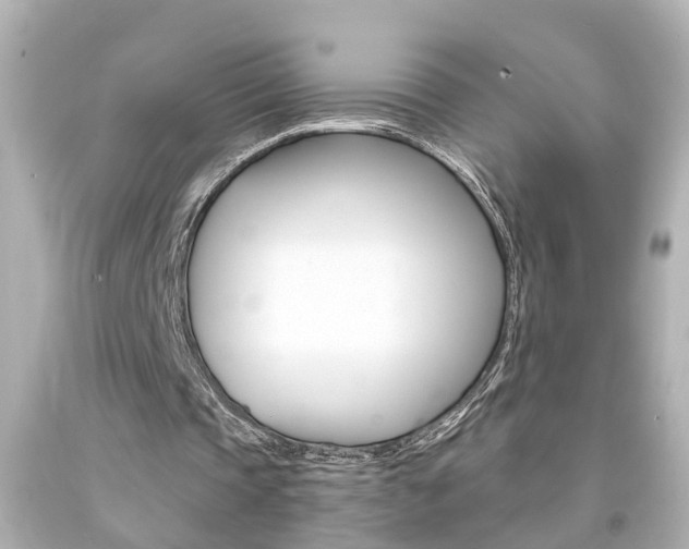 X0000094380337200711020830