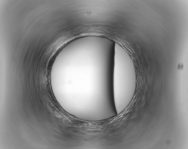 X0000094380338200711020830