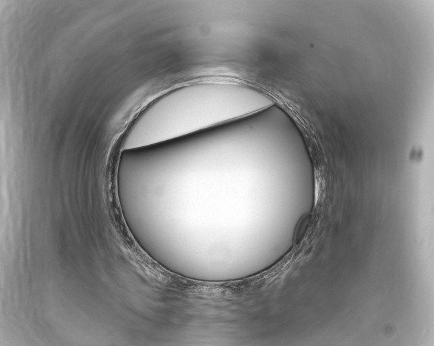 X0000094380339200711020830