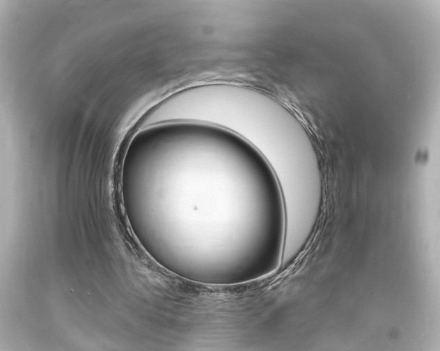 X0000094380340200711020830