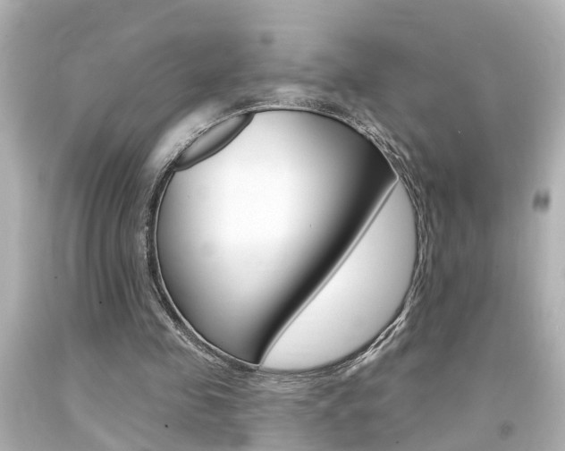 X0000094380341200711020830