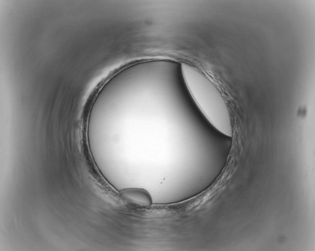 X0000094380342200711020830