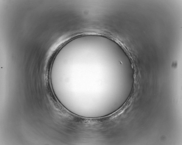 X0000094380343200711020830
