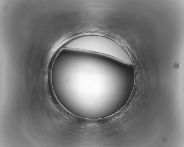 X0000094380344200711020830