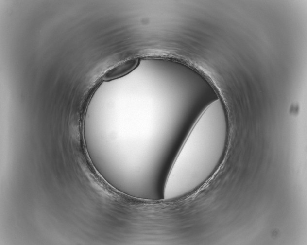 X0000094380345200711020830