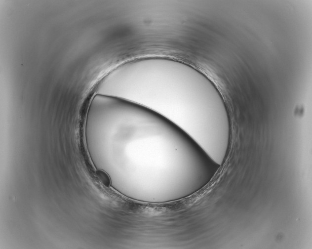 X0000094380346200711020830