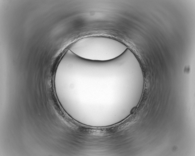 X0000094380347200711020830