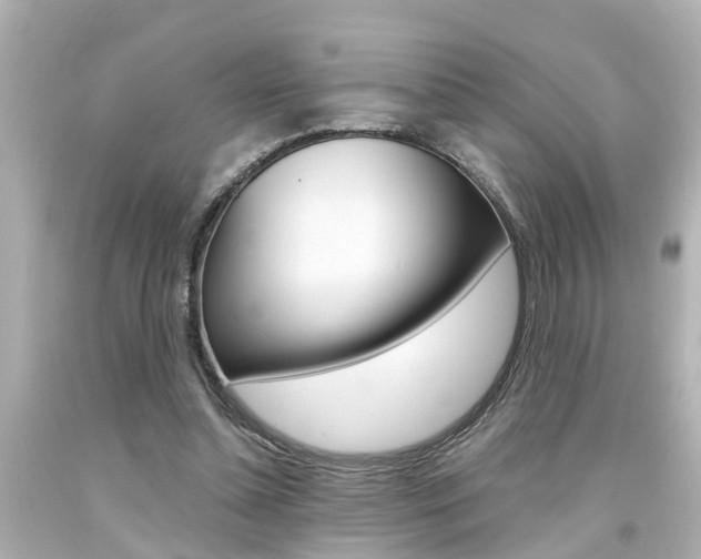 X0000094380348200711020830