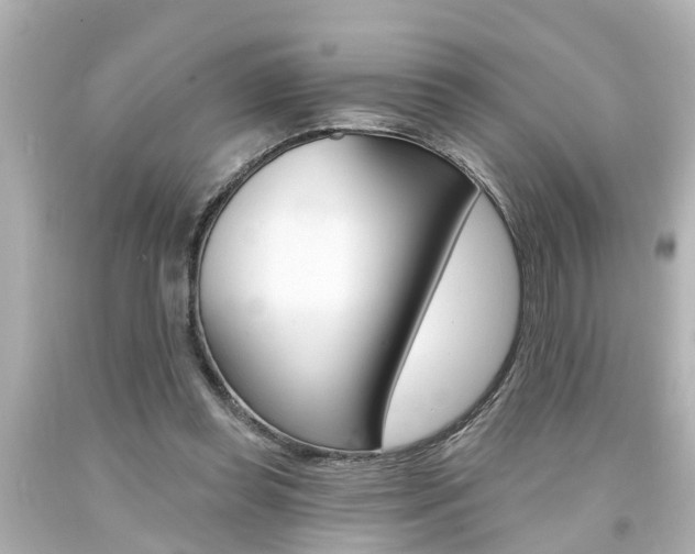 X0000094380349200711020830