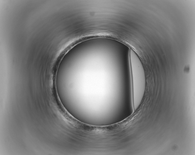 X0000094380350200711020830