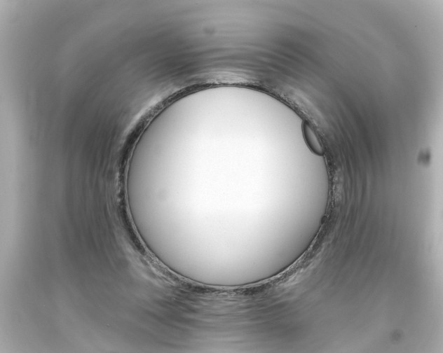 X0000094380351200711020830