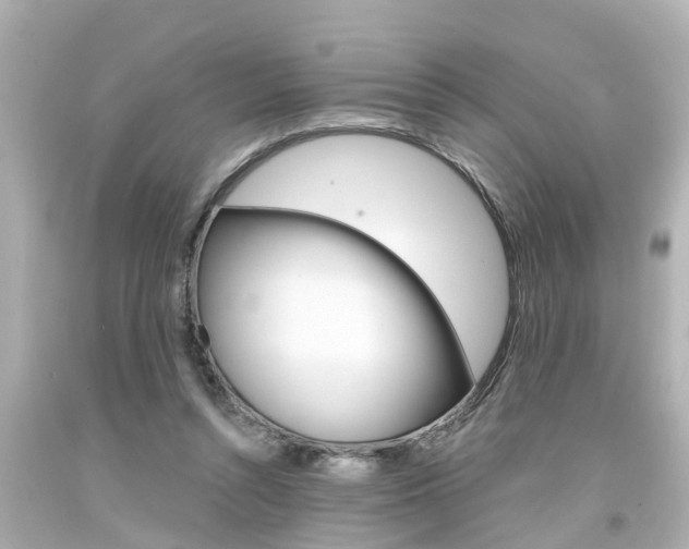 X0000094380352200711020830