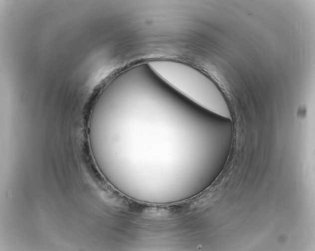 X0000094380354200711020830