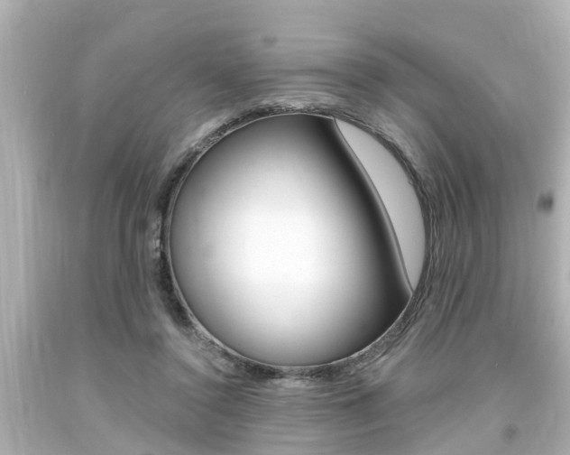 X0000094380356200711020830