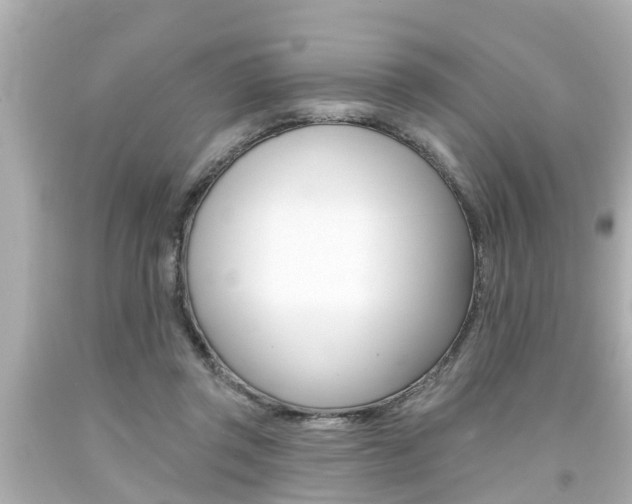 X0000094380357200711020830