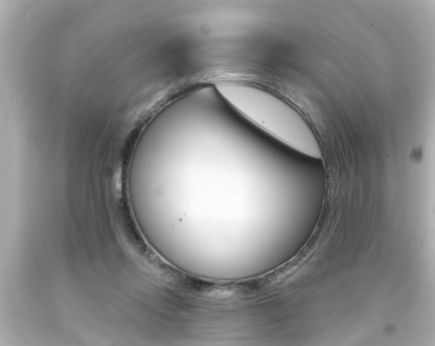X0000094380358200711020830