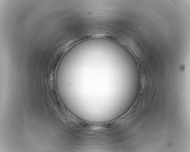 X0000094380360200711020830
