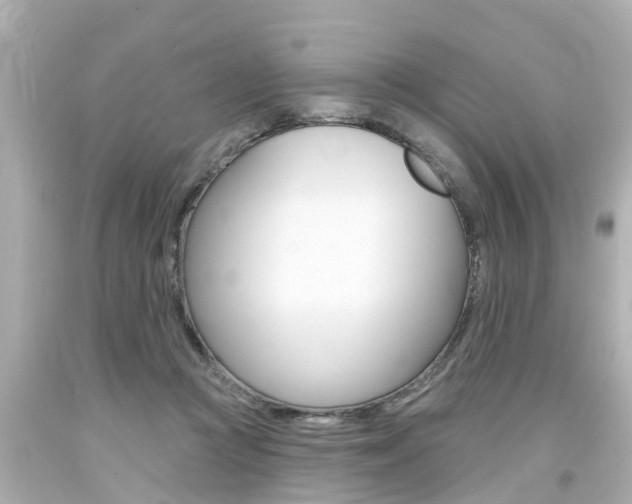 X0000094380361200711020830