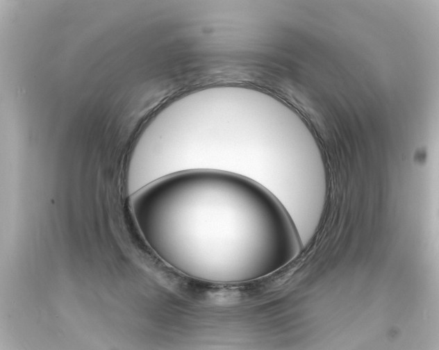X0000094380362200711020830