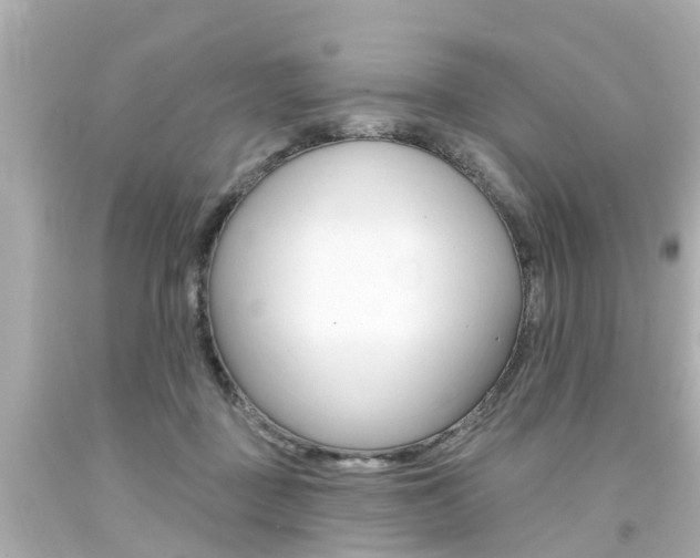X0000094380363200711020830