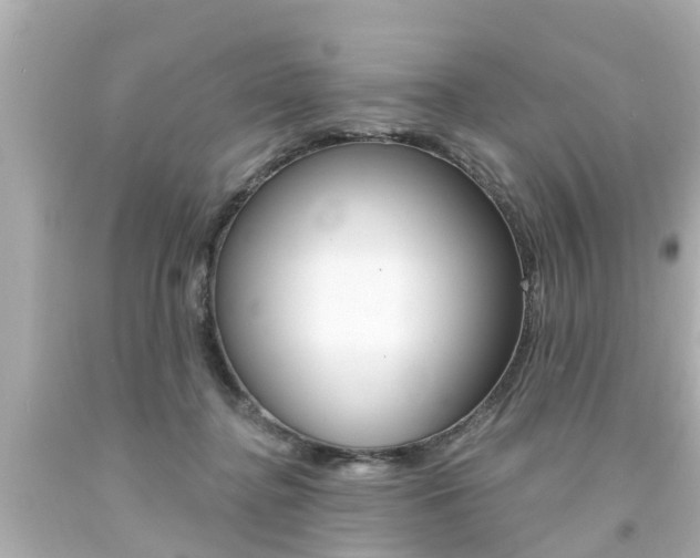 X0000094380364200711020830