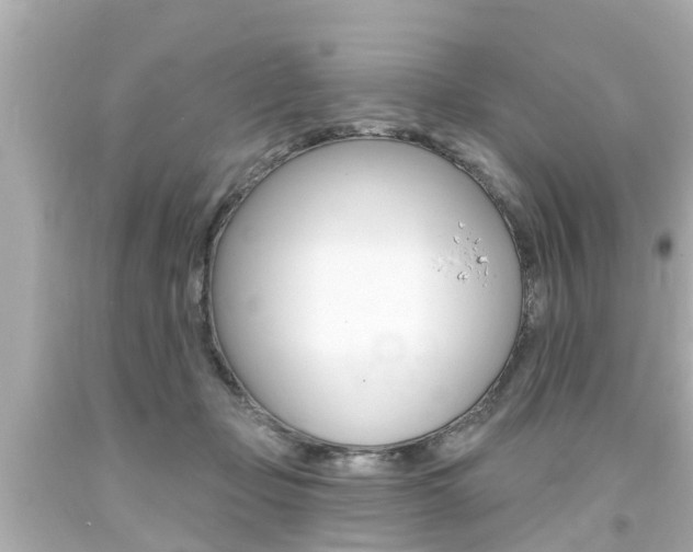 X0000094380365200711020830