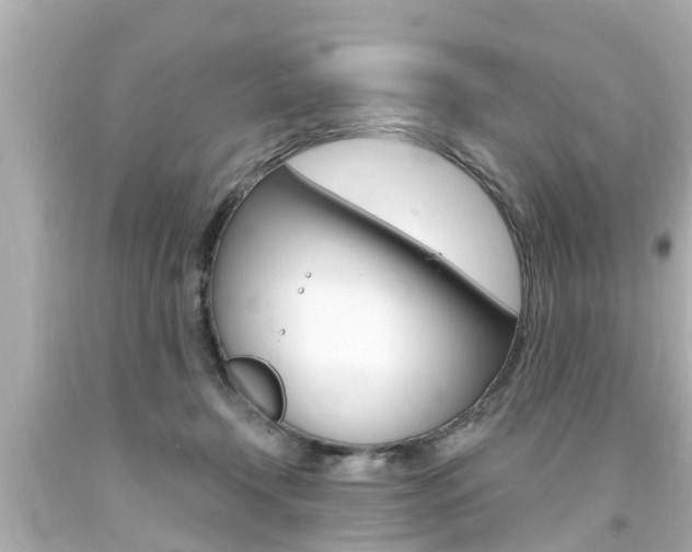 X0000094380366200711020830