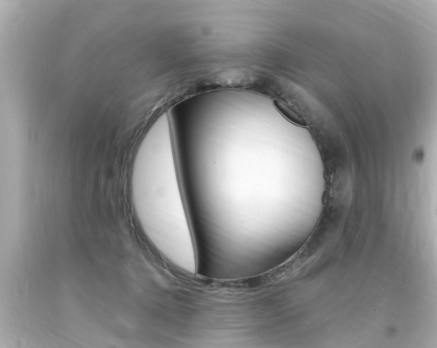 X0000094380368200711020830