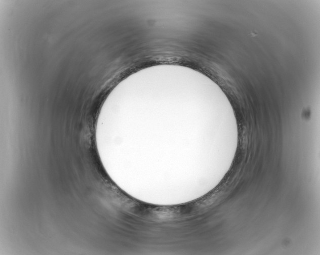 X0000094380370200711020830