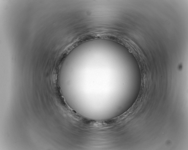 X0000094380372200711020830