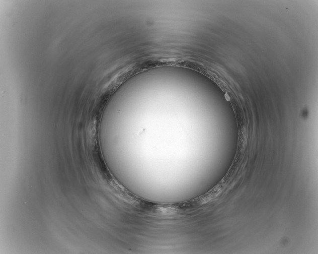 X0000094380376200711020830